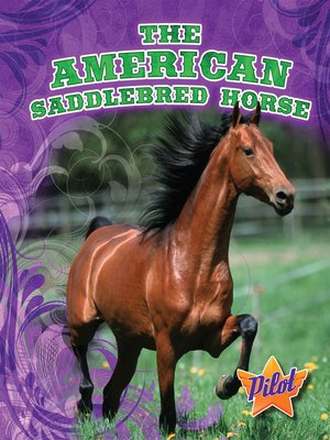cover image of The American Saddlebred Horse